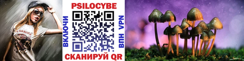 Галлюциногенные грибы Magic Shrooms  закладка  Ряжск 